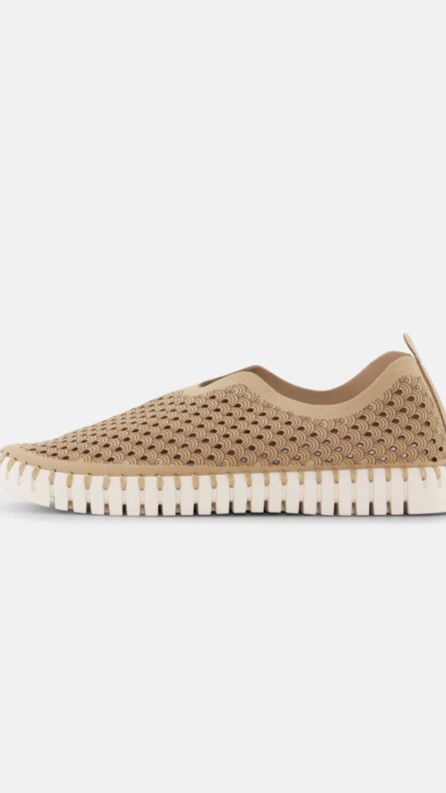 Microfiber Tulip Shoe Low Sole