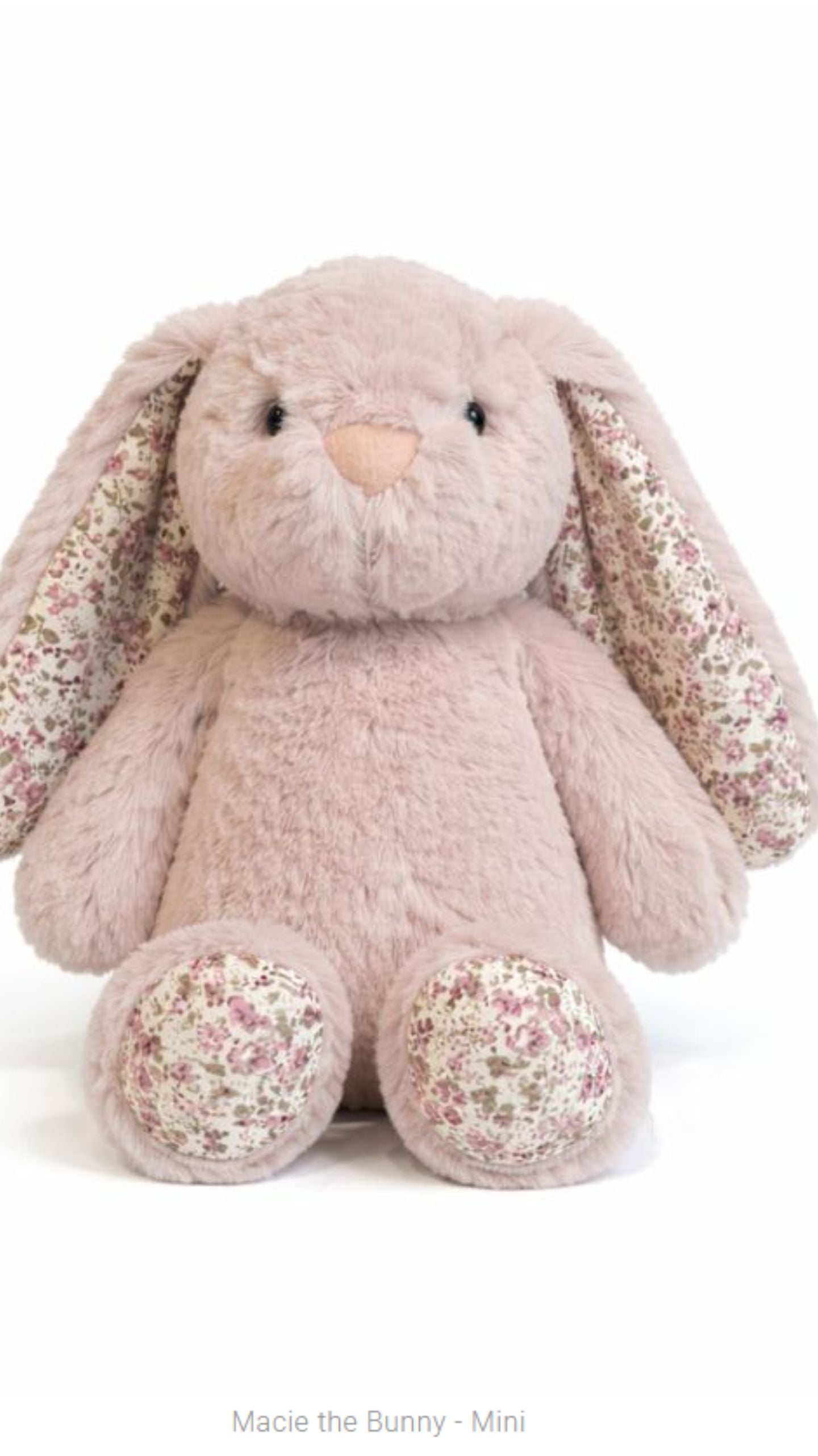 Littlefoot Bunny
