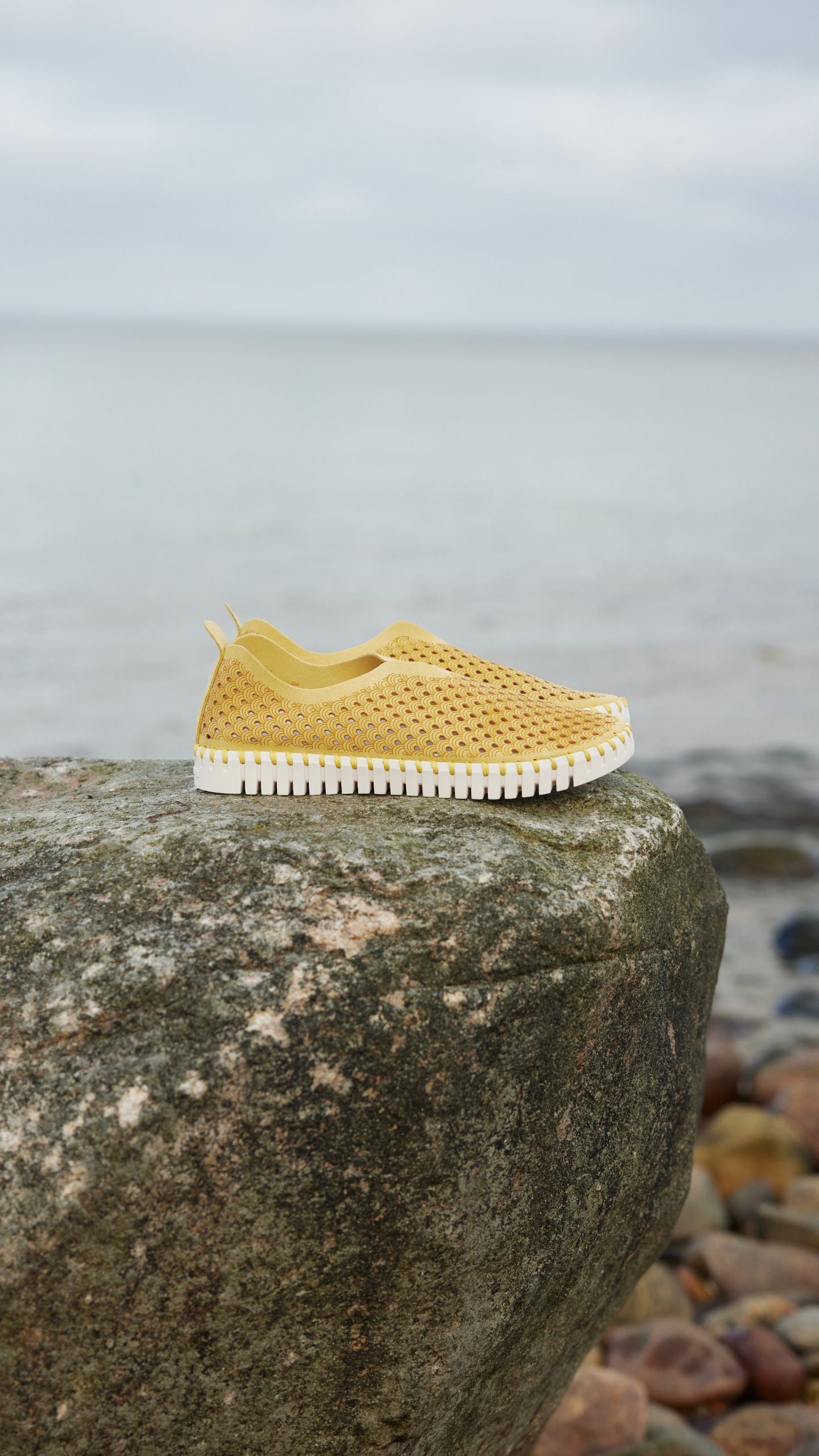 Microfiber Tulip Shoe Low Sole