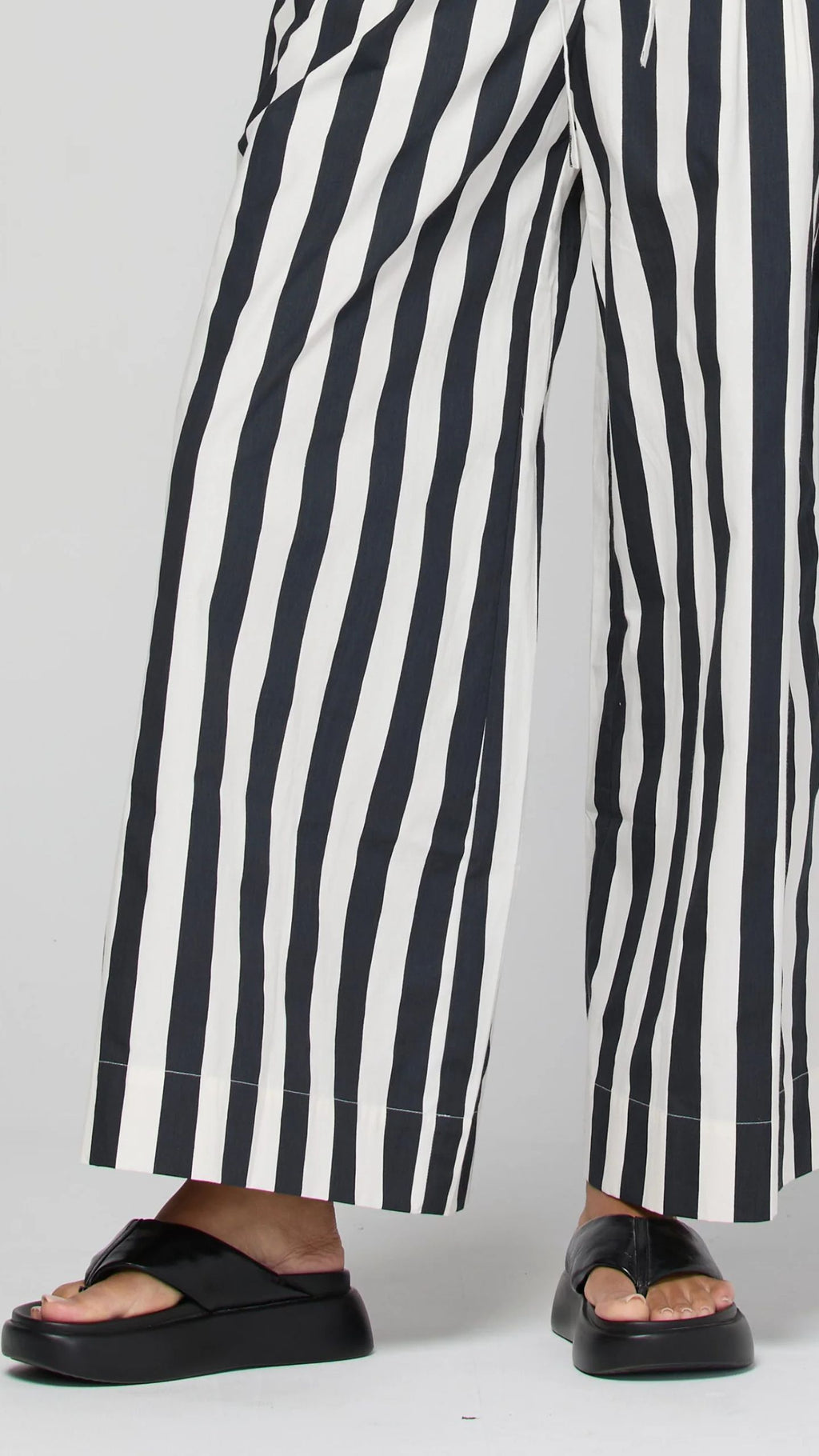 Shiro Pant