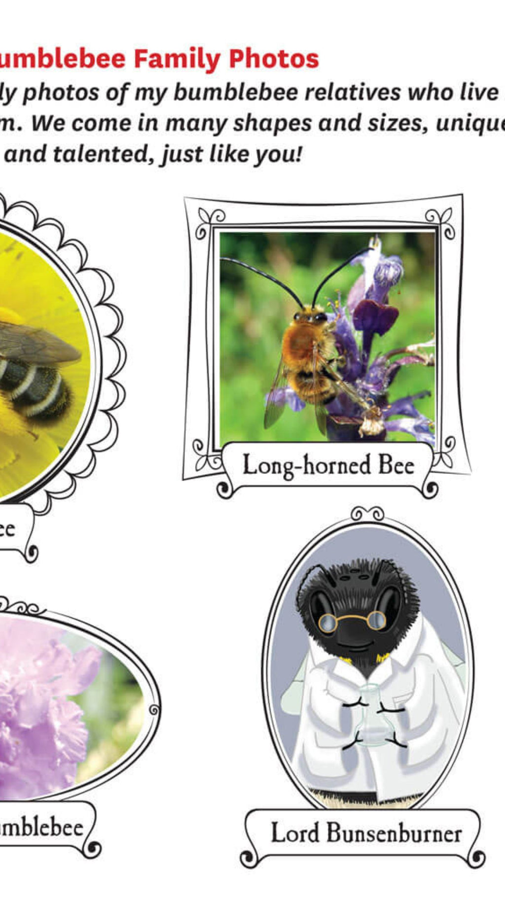 Bumblebees have smelly feet