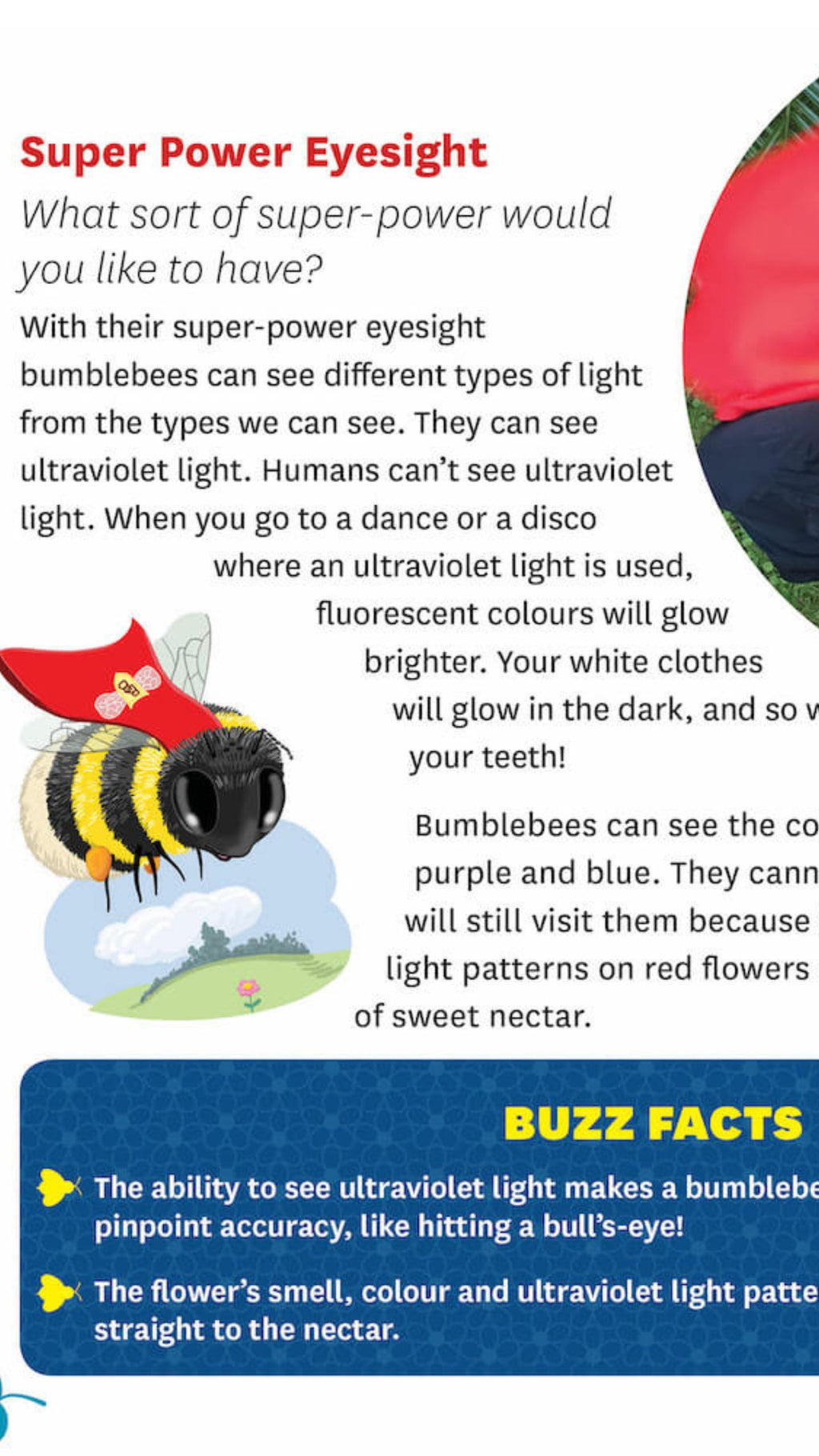 Bumblebees have smelly feet