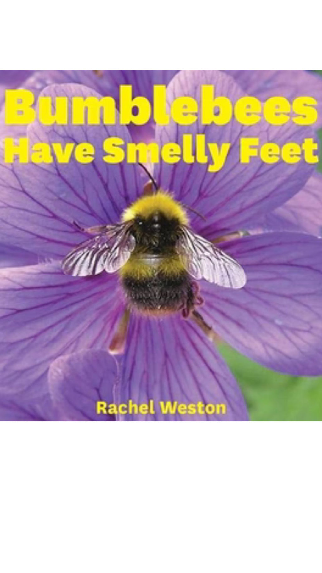 Bumblebees have smelly feet