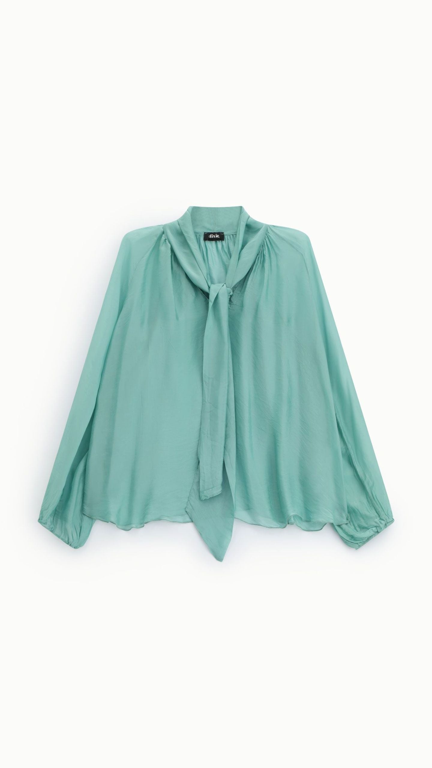 Tie Neck Blouse