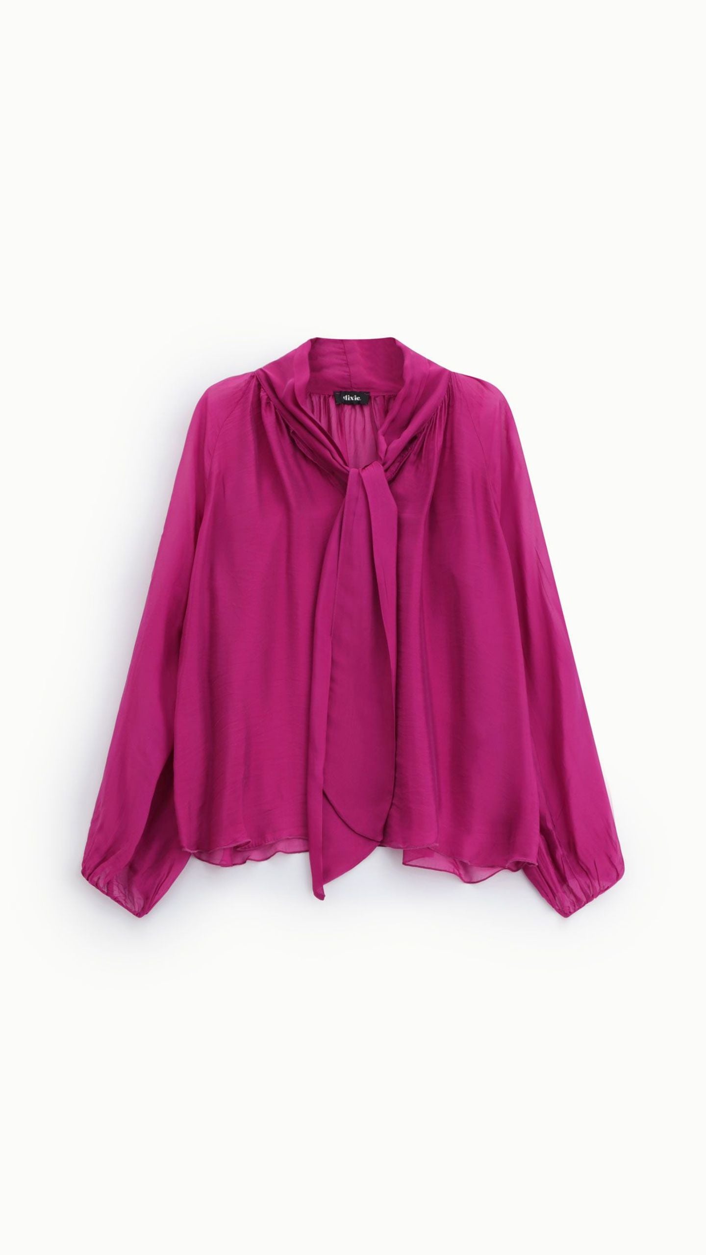 Tie Neck Blouse