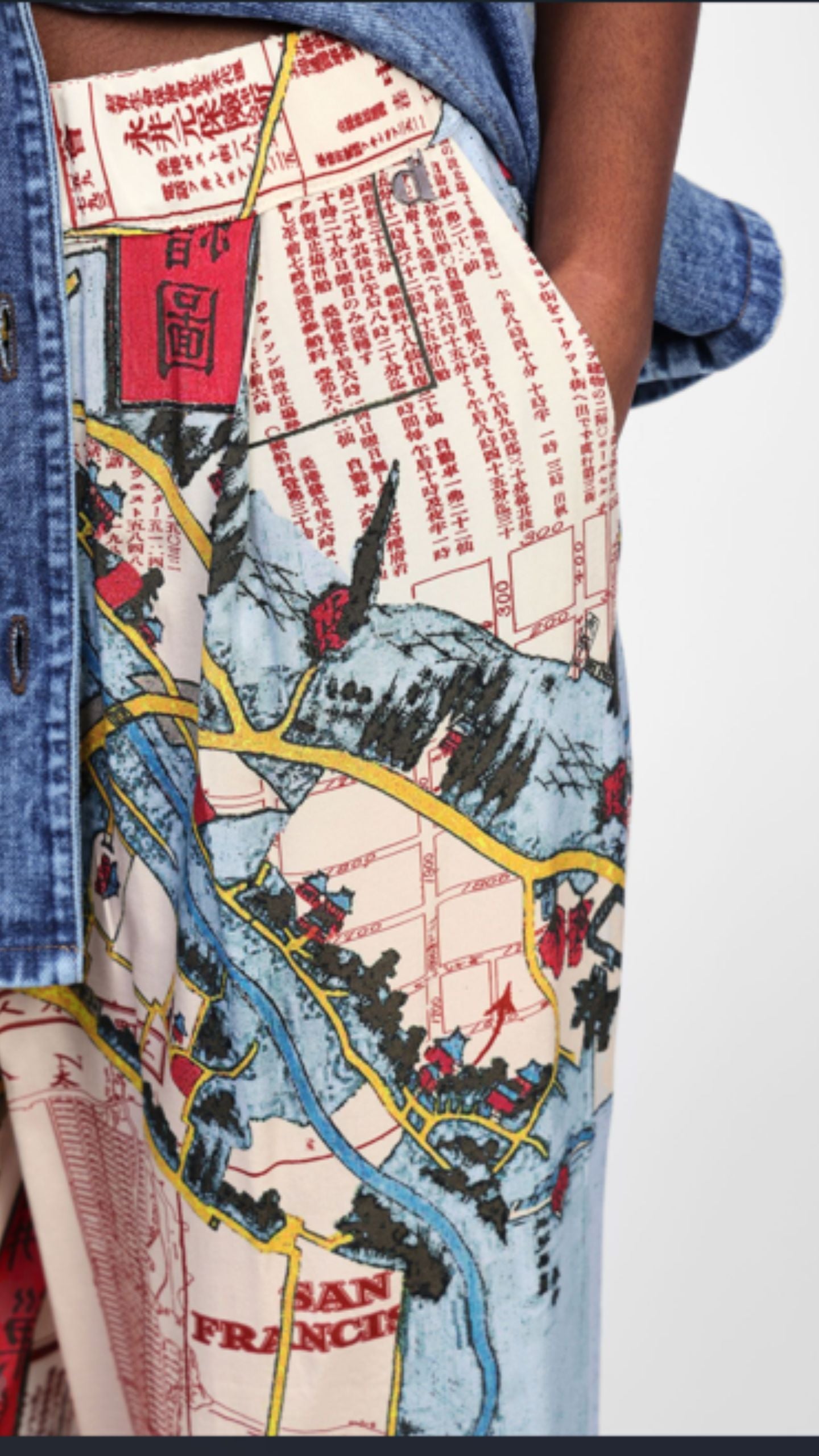 Japanese Map Print Pant