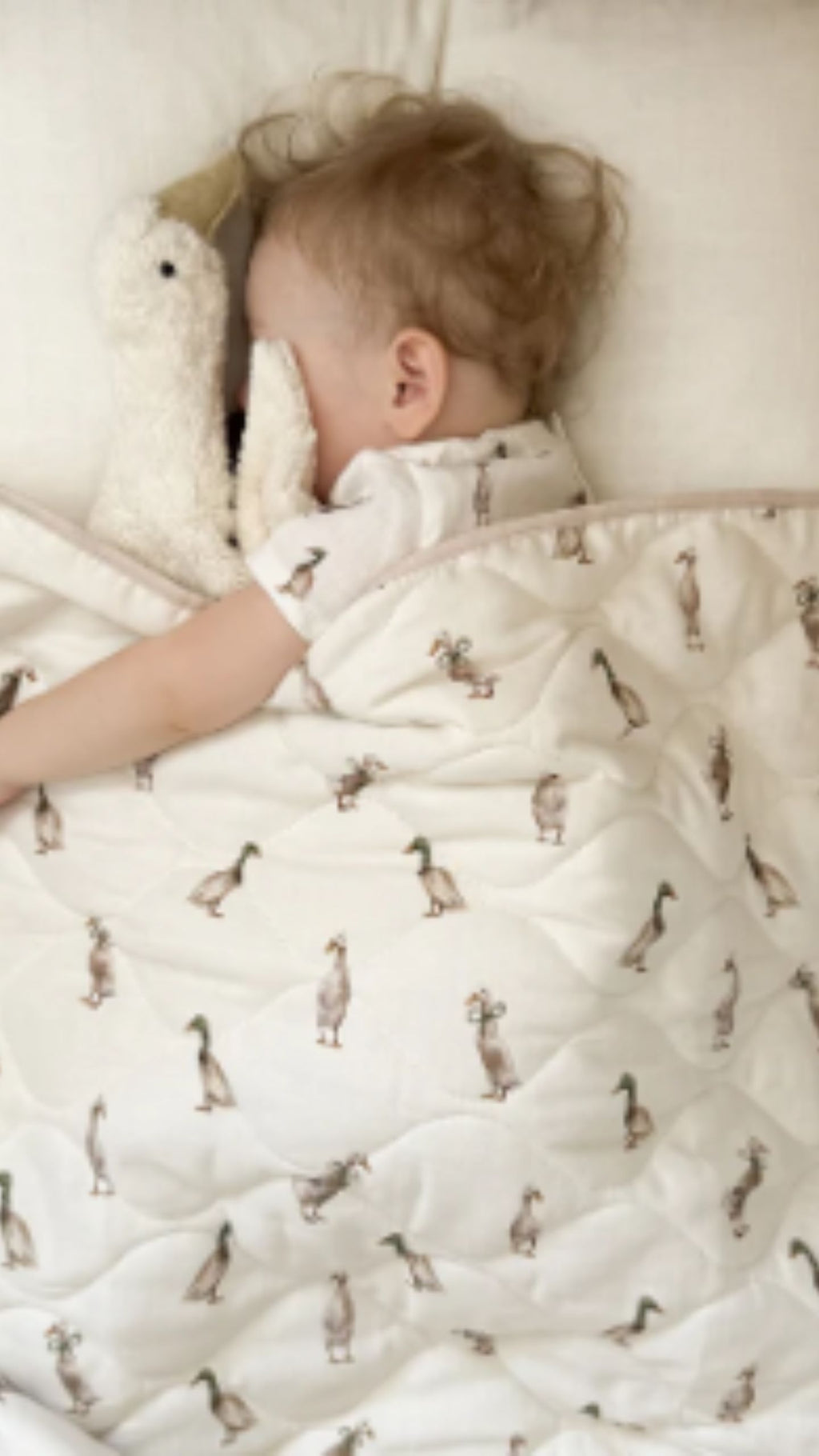 Quilted Blanket