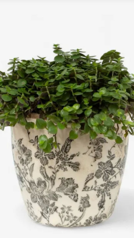 Black Floral Pot - Large