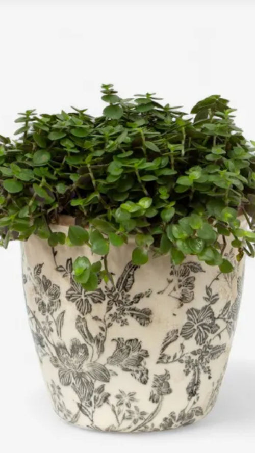 Black Floral Pot - Small