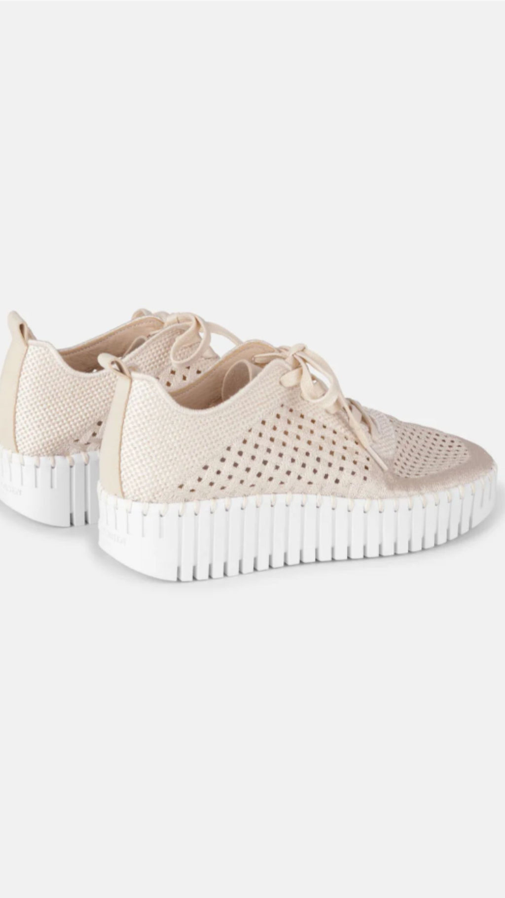 Lace Up Wedge
