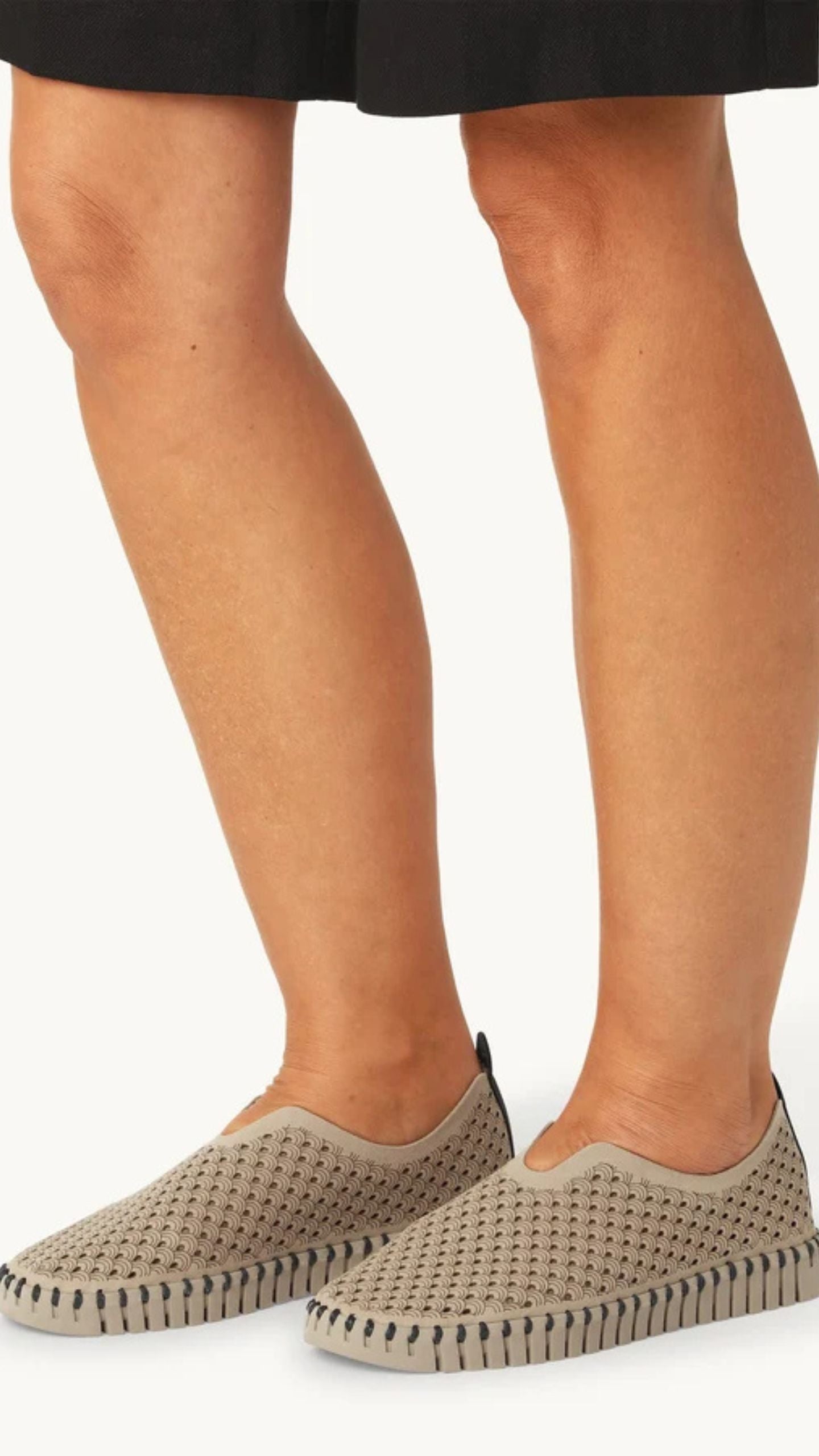 Tulip Flats 3977-E