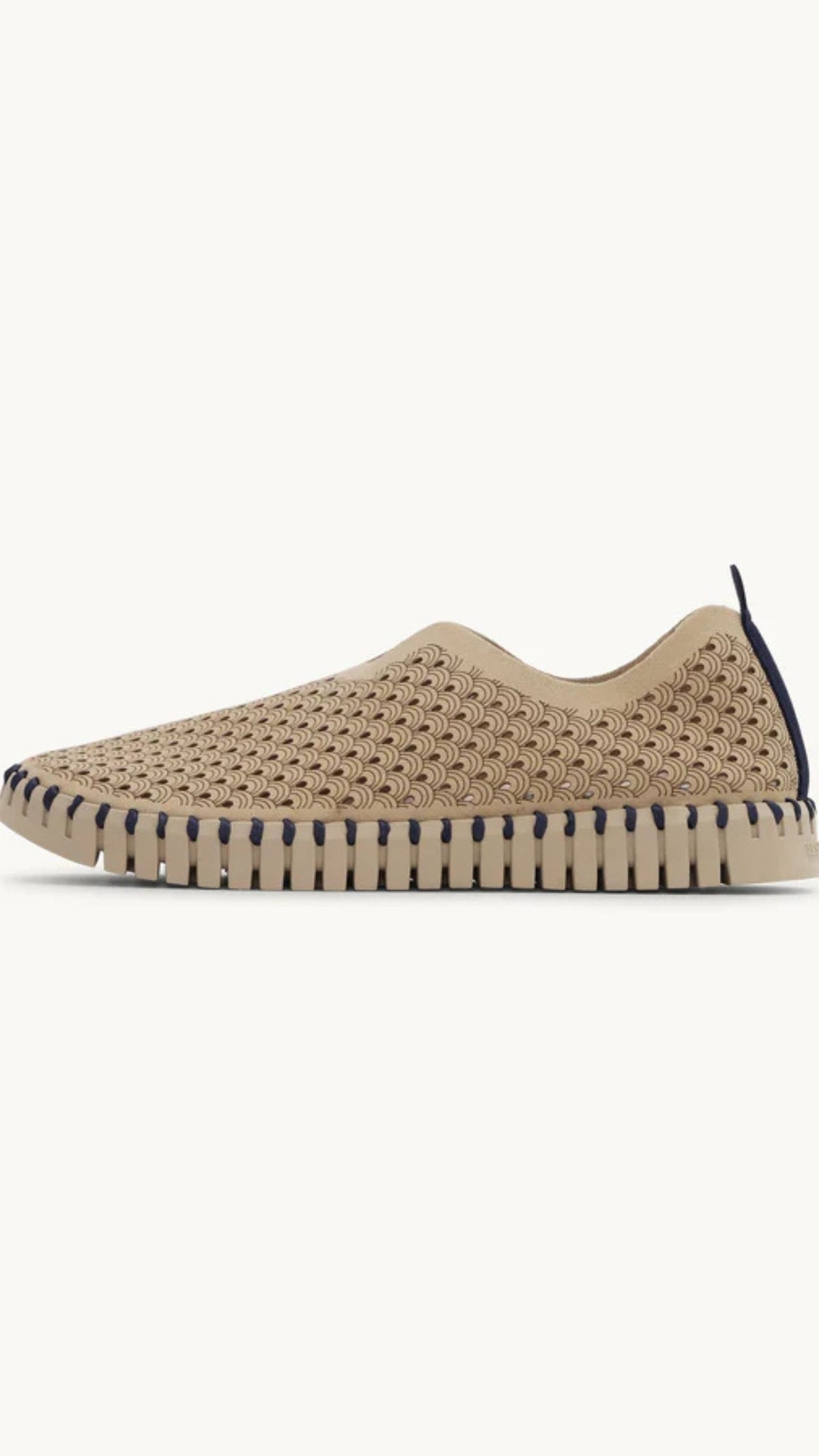 Tulip Flats 3977-E