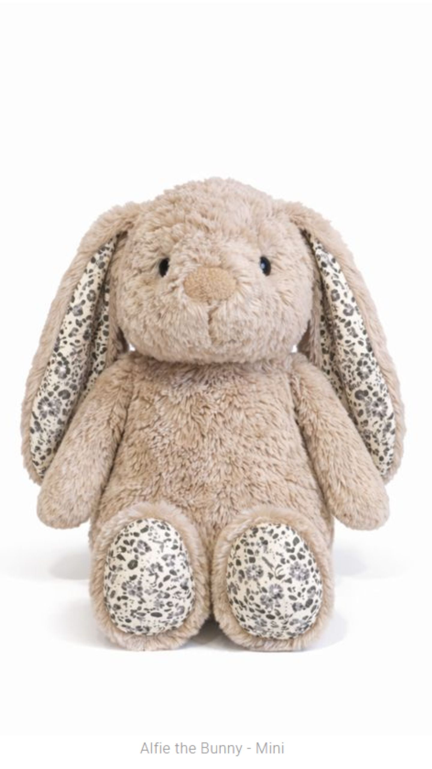 Littlefoot Bunny