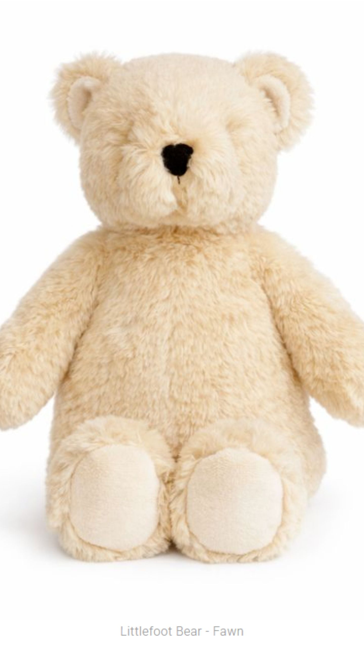 Littlefoot Bear
