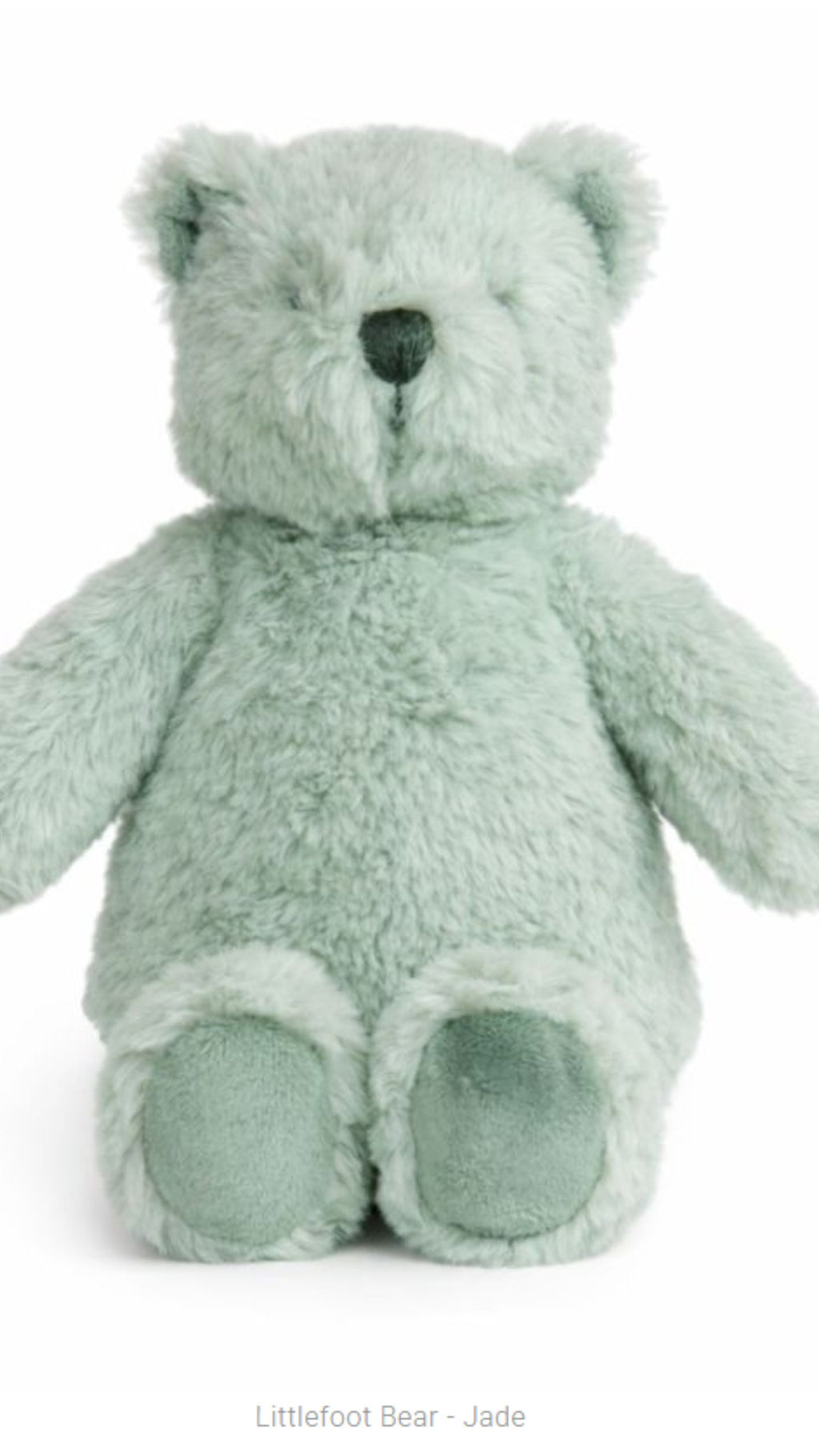 Littlefoot Bear