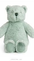 Littlefoot Bear