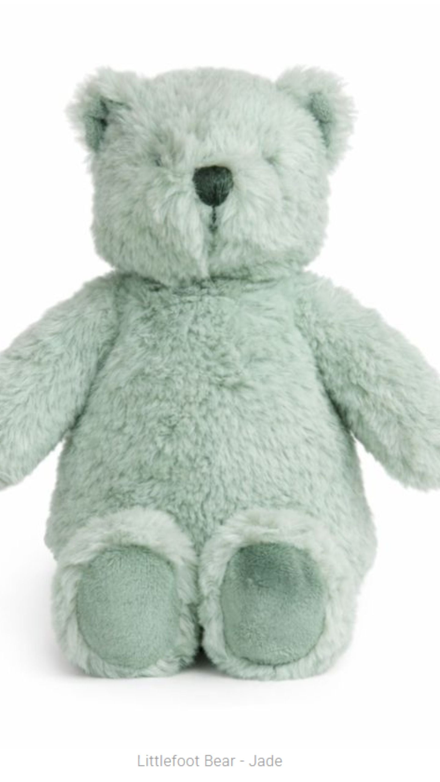 Littlefoot Bear
