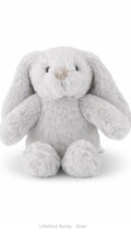 Littlefoot Bunny