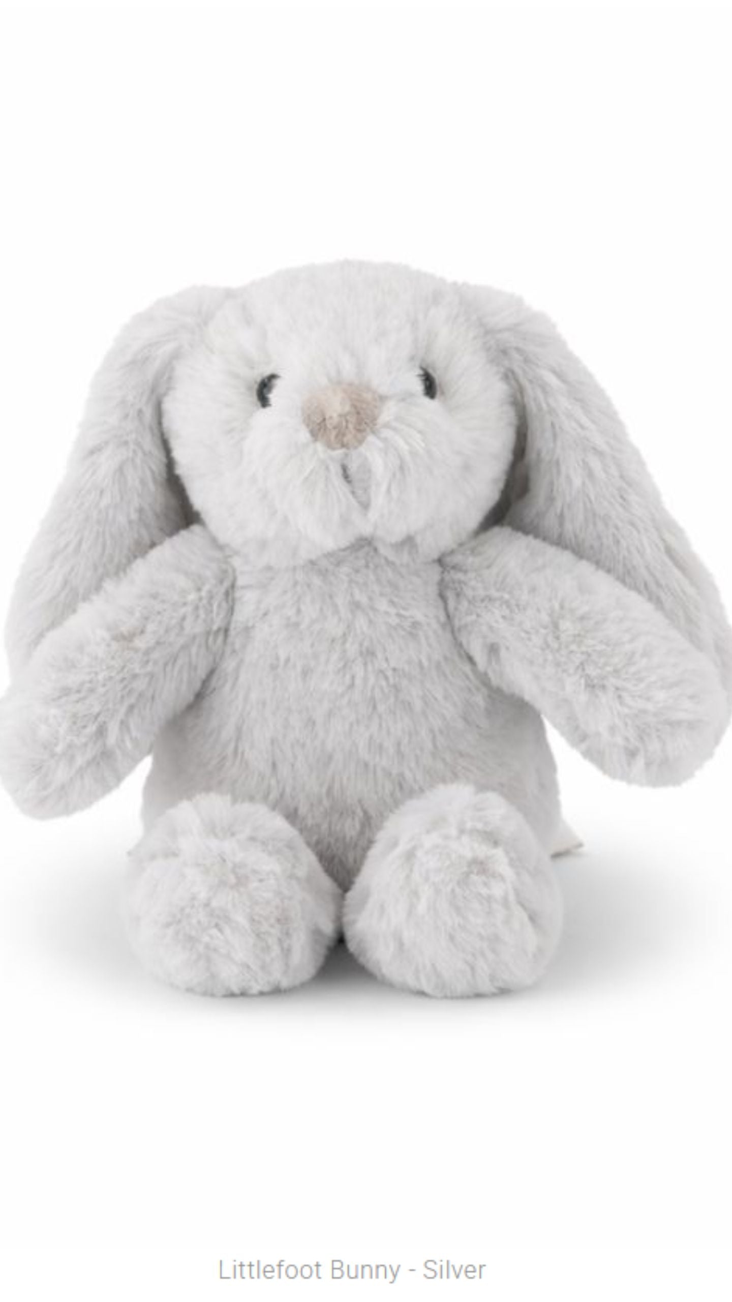 Littlefoot Bunny