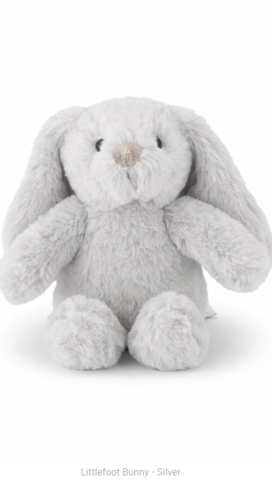 Littlefoot Bunny
