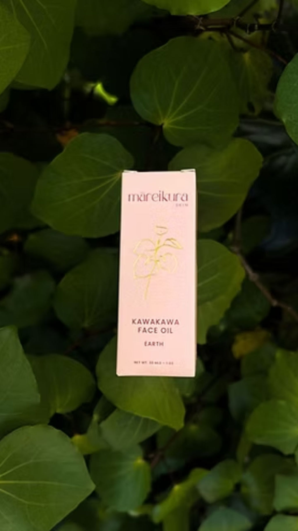 Kawakawa Face Oil
