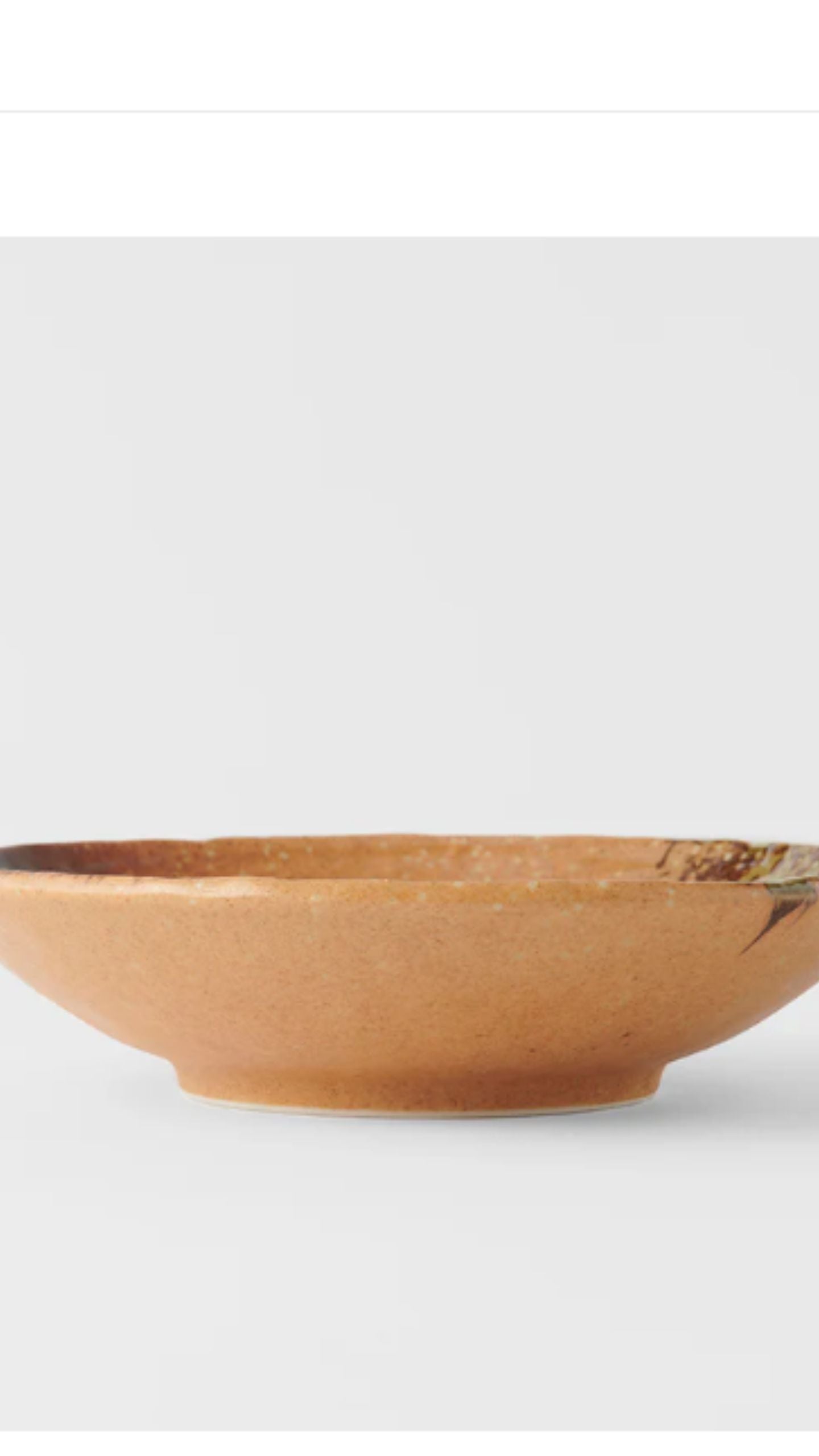 Large Shallow Bowl