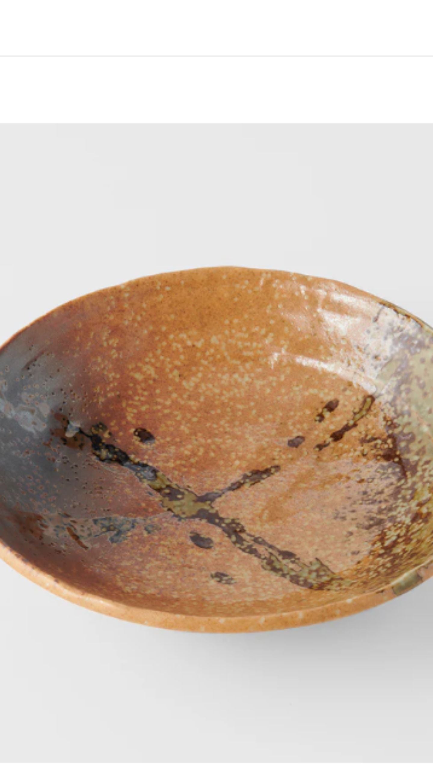 Large Shallow Bowl