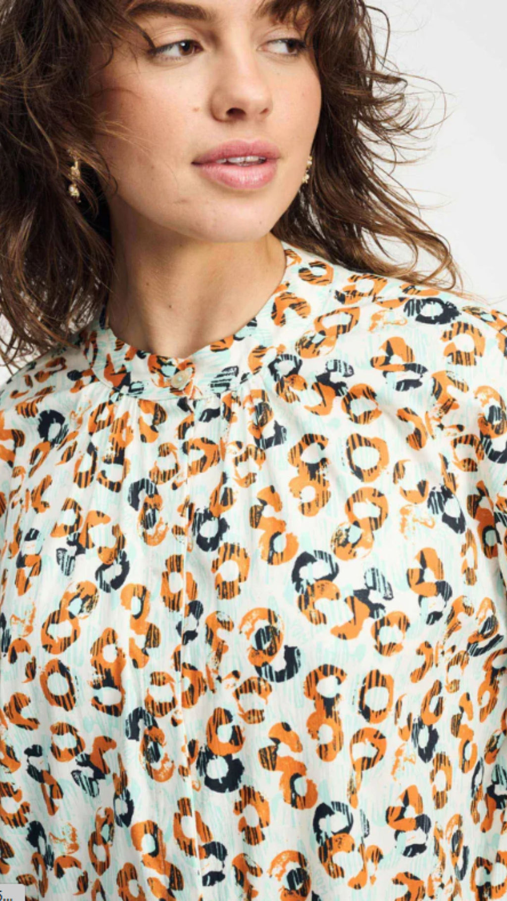 Leopard Lush Poplin Dress