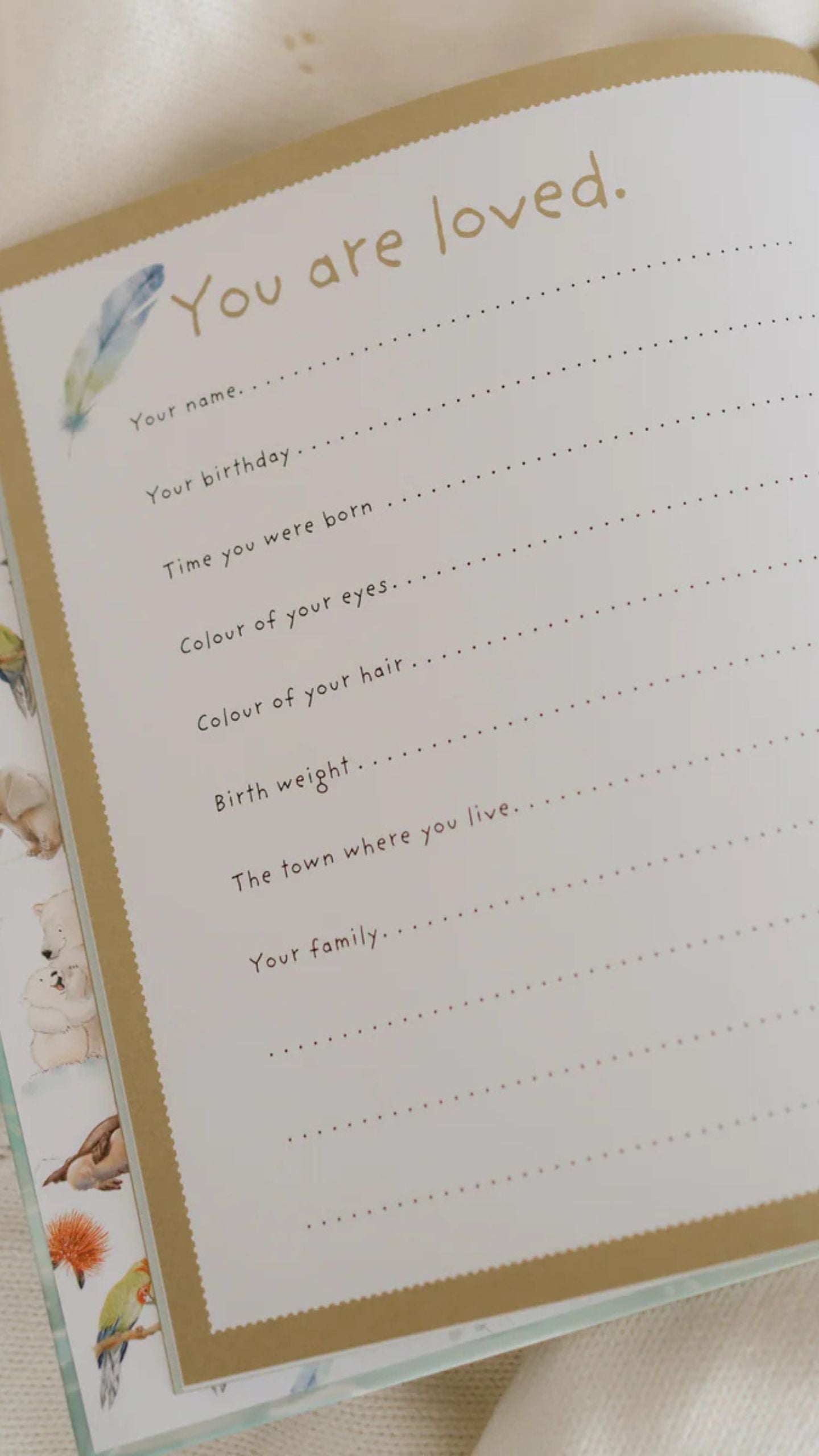So Loved - A treasured book of Love