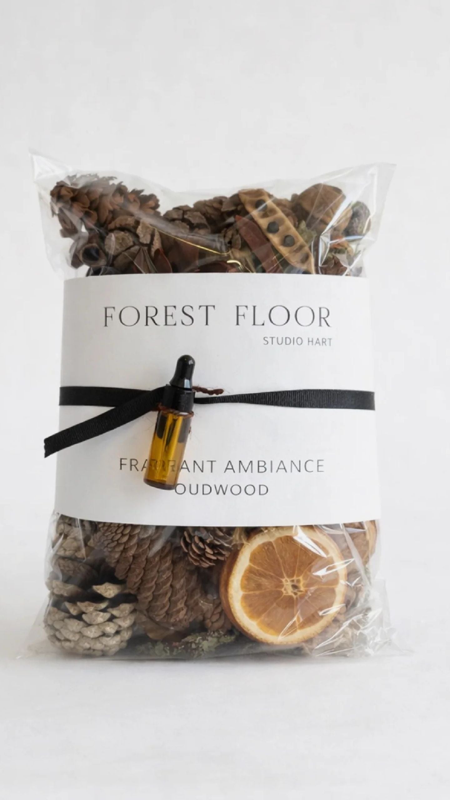 Forest Floor